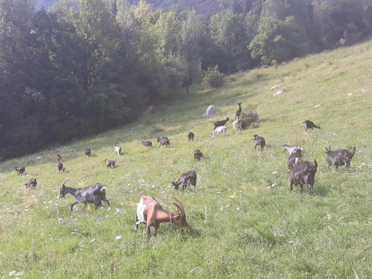 Apartmaji Berginc Kobarid Esterno foto